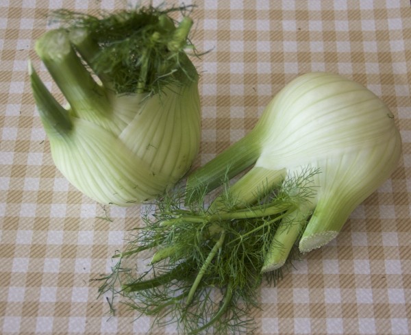 Fennel