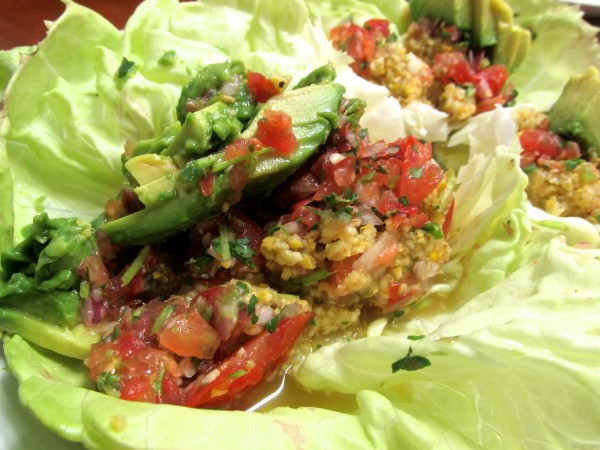 Raw Vegan Lettuce Wrap