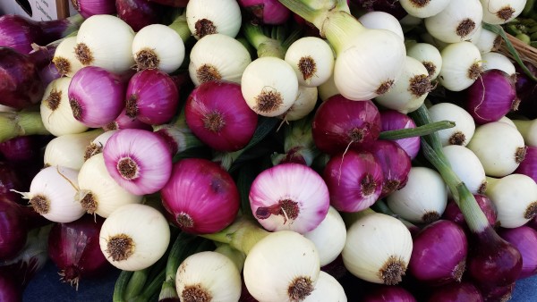 Farmers Market Onions